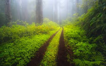 road 2