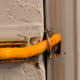 Cheetohs Lock