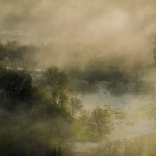 Entrepreneurs Imported