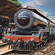 Train Care
