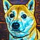 Paint Shiba Inu