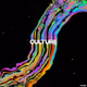 brainwave