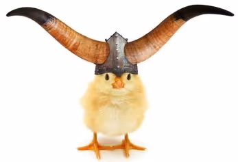Teken'nft'zora