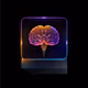 NO BRAIN