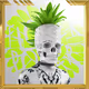 spikedee