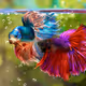 fish