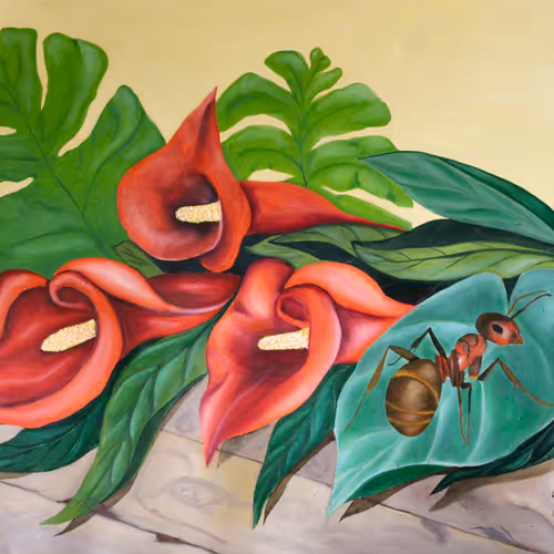 Jleopold Pincture and Art