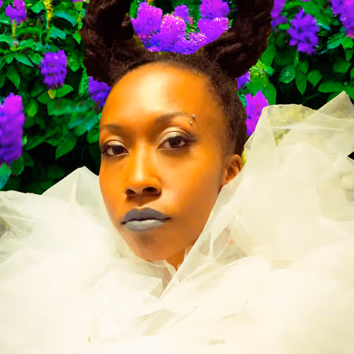 Where To Next? Vol. 1