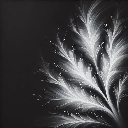 Black and White Dreams