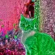 ColourCat