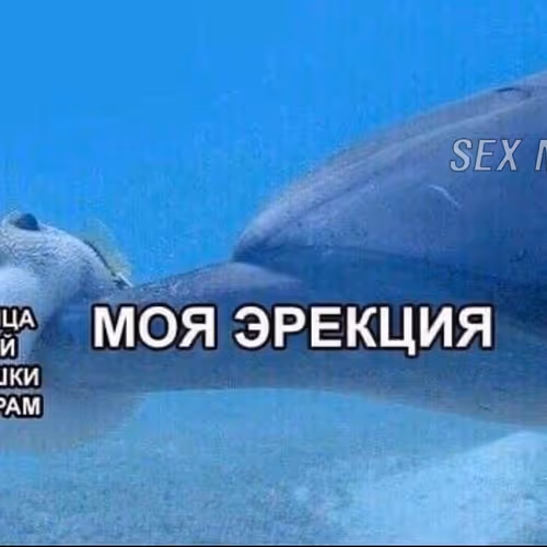 0x38296b807bf65fd9ba0df0b3dde0cfd355e01674