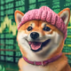Dogwifhat