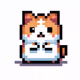 pixel