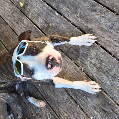 NALA