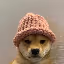 doge with image