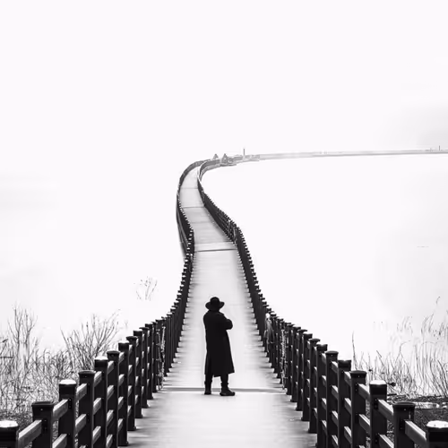 A middle-aged man standing in the middle of the road