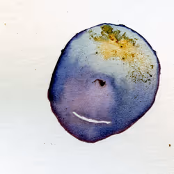 Natural inks