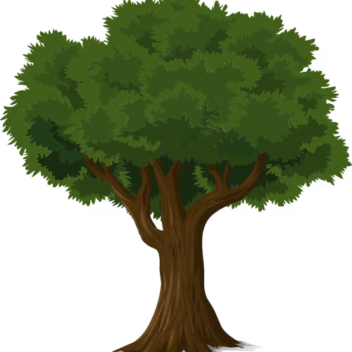 THE TREE