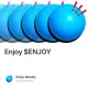 Enjoy $ENJOY