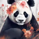 Pandas
