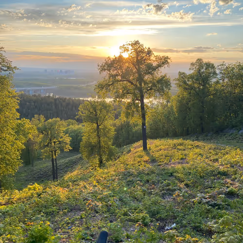 Through the prism of nature