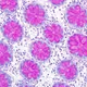 Histopathology