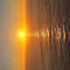 Bay Area Sunset