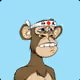 leiguanape's PFP