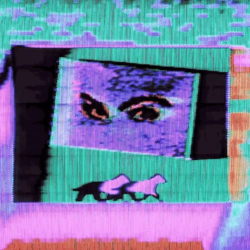 Do Dogs Dream of Her Eyes?