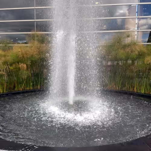 Water Fountains in Motion