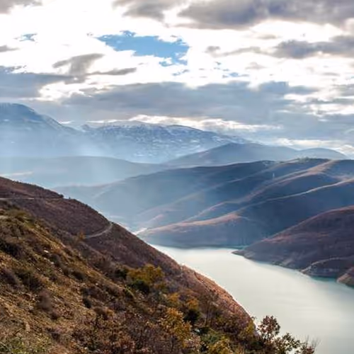 Fundraising Milk Gains