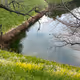 Japan Memory