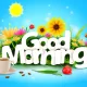 GM