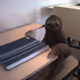 Sloth