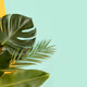 palm