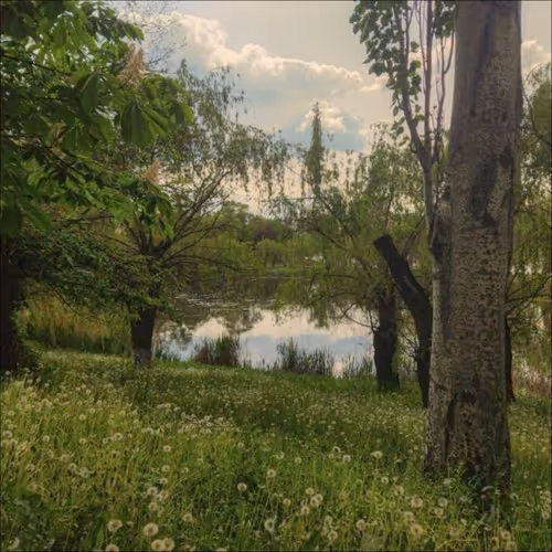 scenery