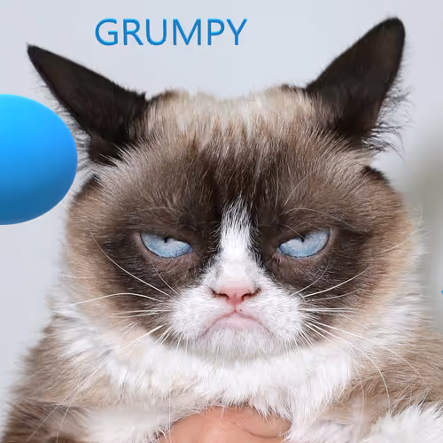 $ENJOY GRUMPY