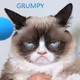 $ENJOY GRUMPY