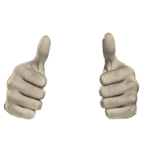 Thumbs Up Dog Digital Stickers
