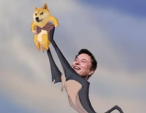 Elon with doge