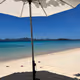Paradise