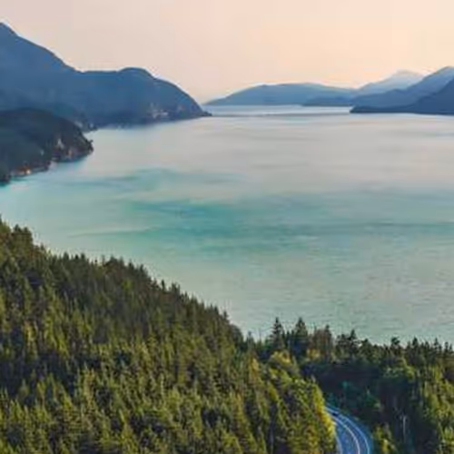 Prospects Ready Focusing