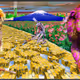 Pixel Perfect Gallery