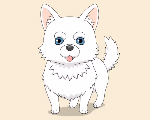 DOG 🐶