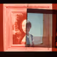 bosque