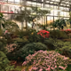 greenhouse