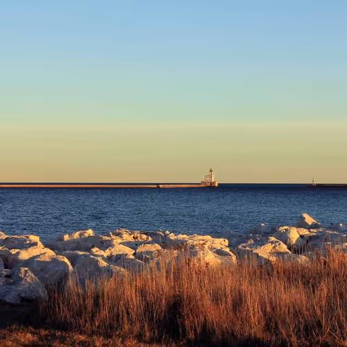 Drugs Signals Employed