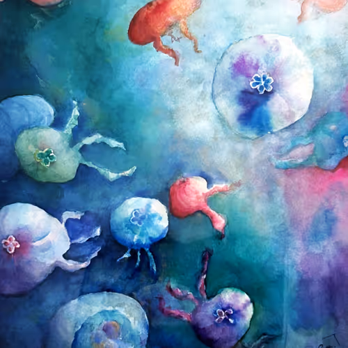 Jellyfish Wonderland