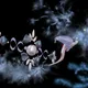 Constellations