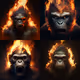 Dark Monkey